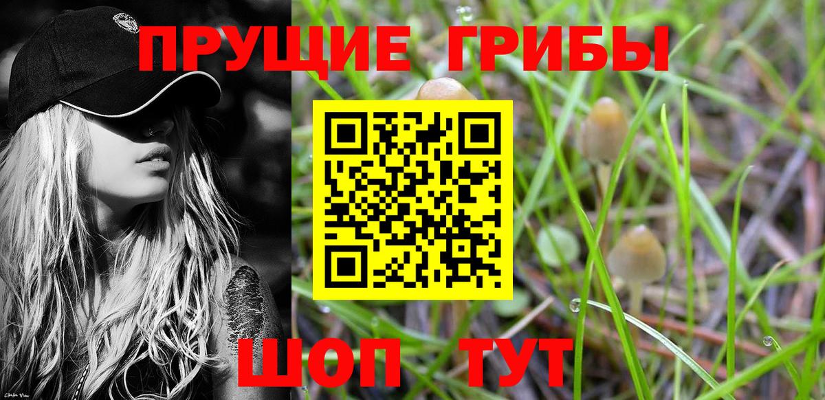 Псилоцибиновые грибы MAGIC MUSHROOMS Владикавказ